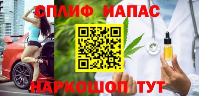 ECSTASY Новозыбков