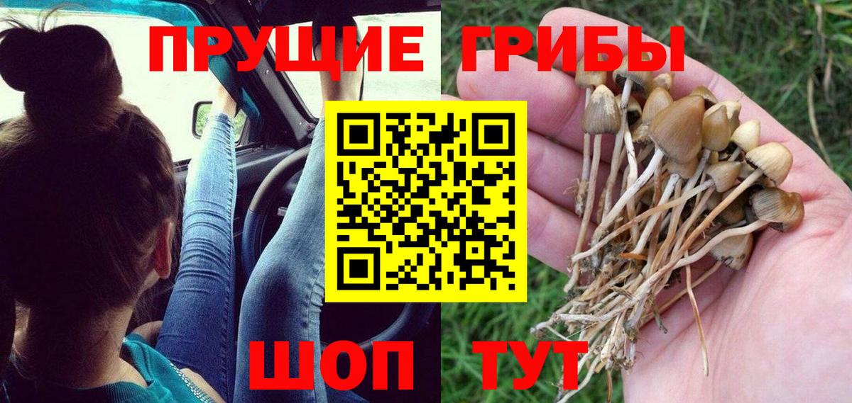 Псилоцибиновые грибы ЛСД  Псилоцибиновые грибы ЛСД  Чита  Вход с VPN 