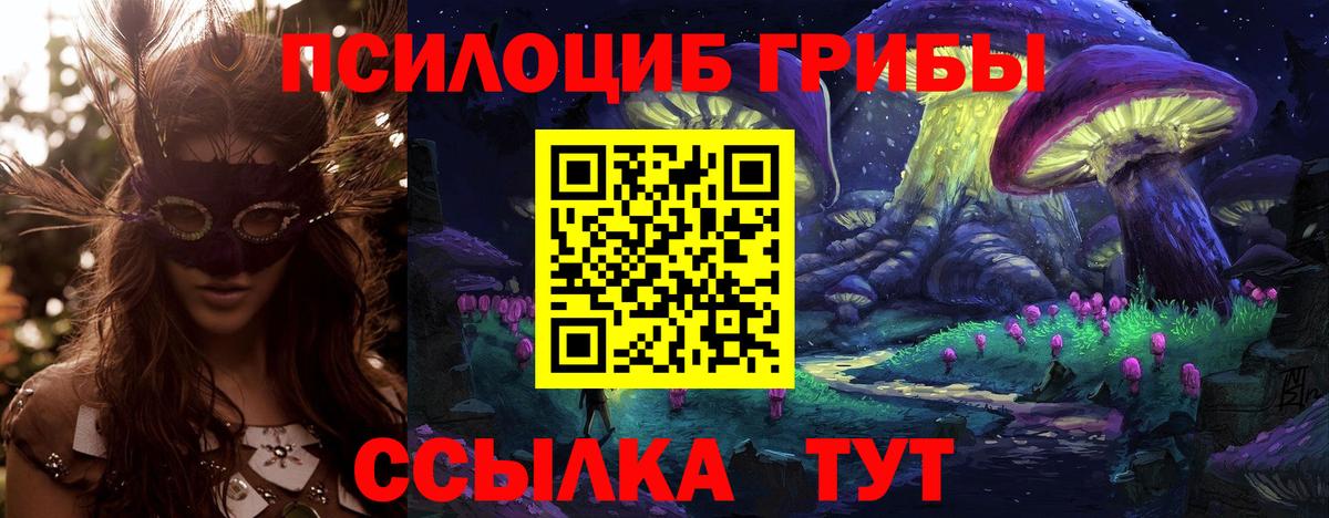 Галлюциногенные грибы Psilocybine cubensis Чита